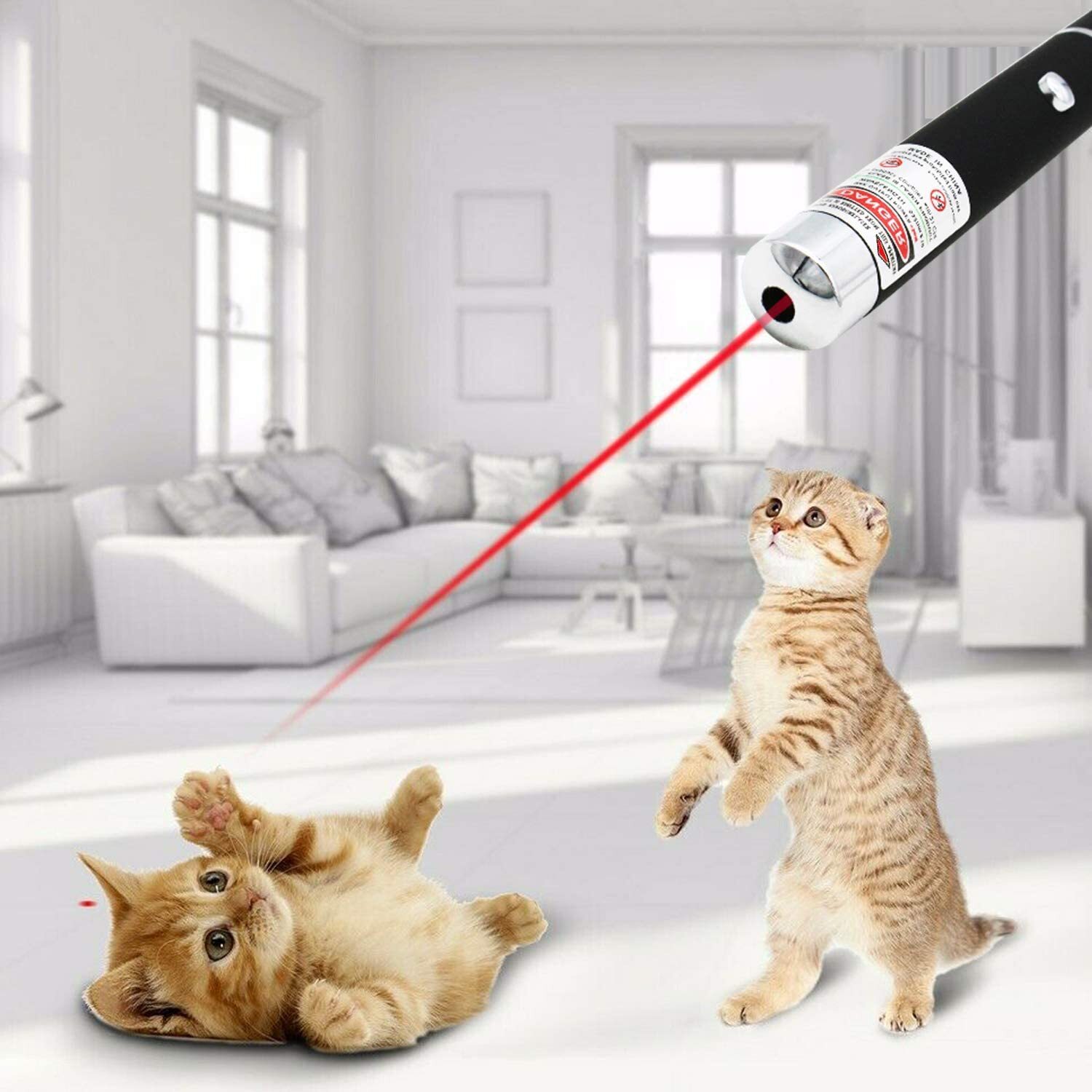 10-Pack 650nm Red Laser Pointer Pen – Mini Single Beam Laser Torch for Teaching, Presentations & Pet Toys - Image 7
