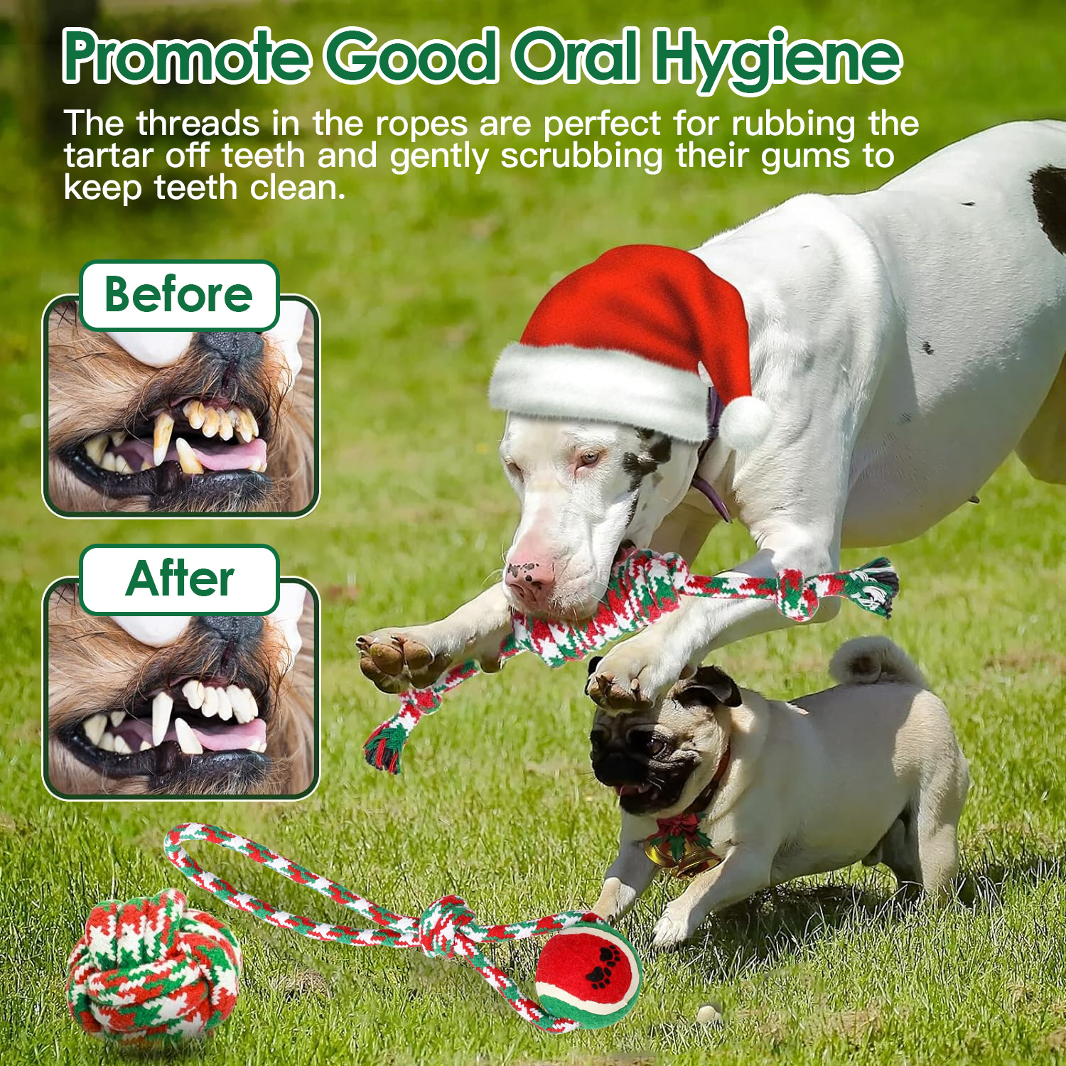 Set of 5pcs Christmas Dog Rope Chew Toys – Festive Fun for Your Furry Friend! - Image 6