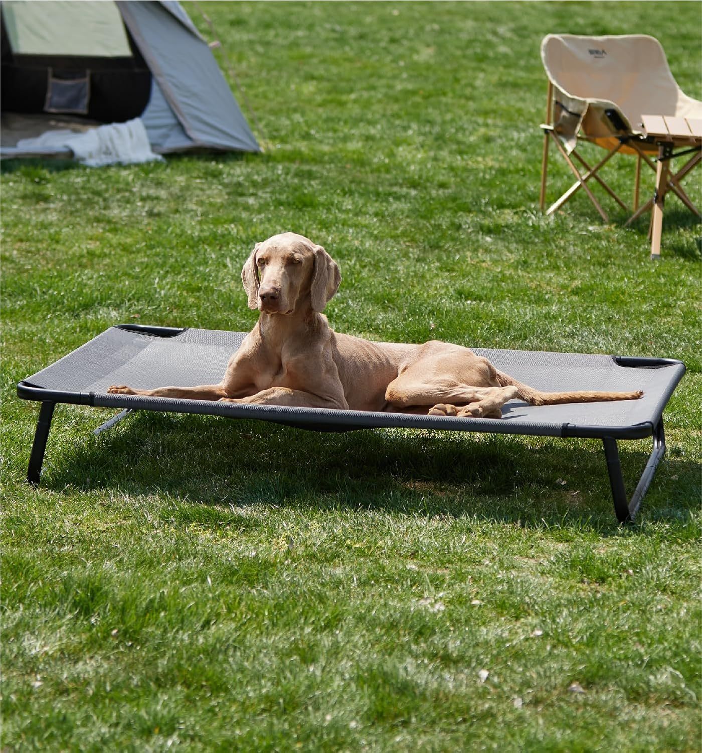 Made4Pets Large Elevated Outdoor Dog Bed – Adjustable, Washable Mesh & Non-Slip Feet - Image 4
