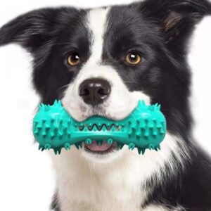 Dog Teeth Cleaning Chew Toy – Durable Rubber Molar Stick for Small & Medium Dogs