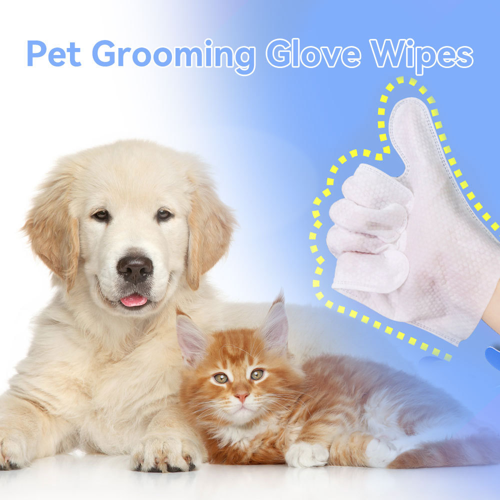 Cleaning Wipes Gloves for Dogs and Cats – Rinse-Free Bathing & Deodorizing Pet Grooming Wipes (6PCS/1PACK) - Image 6