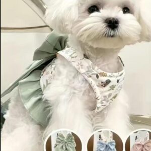 Elegant Pet Harness & Leash Set – Adjustable Escape-Proof Half Vest for Cats & Small Dogs