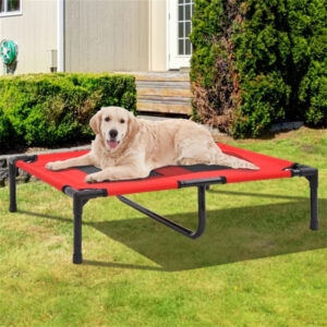 Premium Pet Bed – Cozy Dog & Cat Sofa, Weekday Shipping Only
