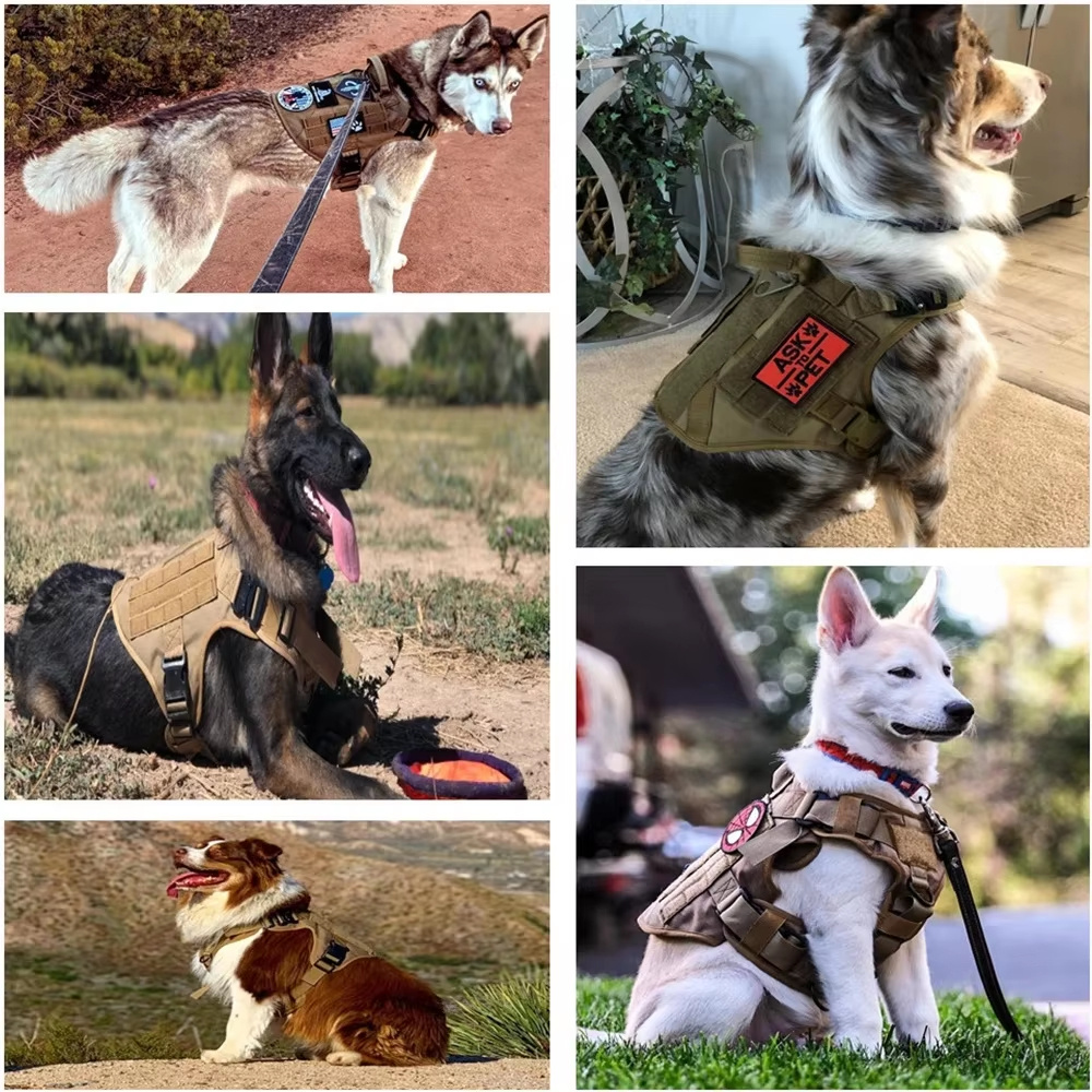 Luxury Pet Harness & Leash Set – Camouflage Nylon Dog Chest Harness for Small to Medium Dogs - Image 5