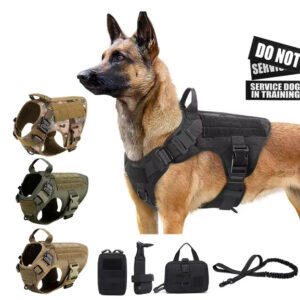 Luxury Pet Harness & Leash Set – Camouflage Nylon Dog Chest Harness for Small to Medium Dogs