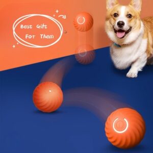 Durable Rubber Dog Chew Ball Toy – Interactive Training