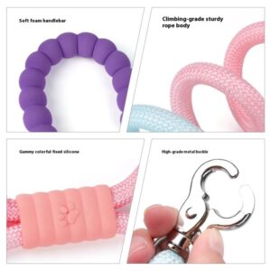 Explosion-Proof Dog Leash – Durable Walking Leash & Collar for Small to Medium Dogs