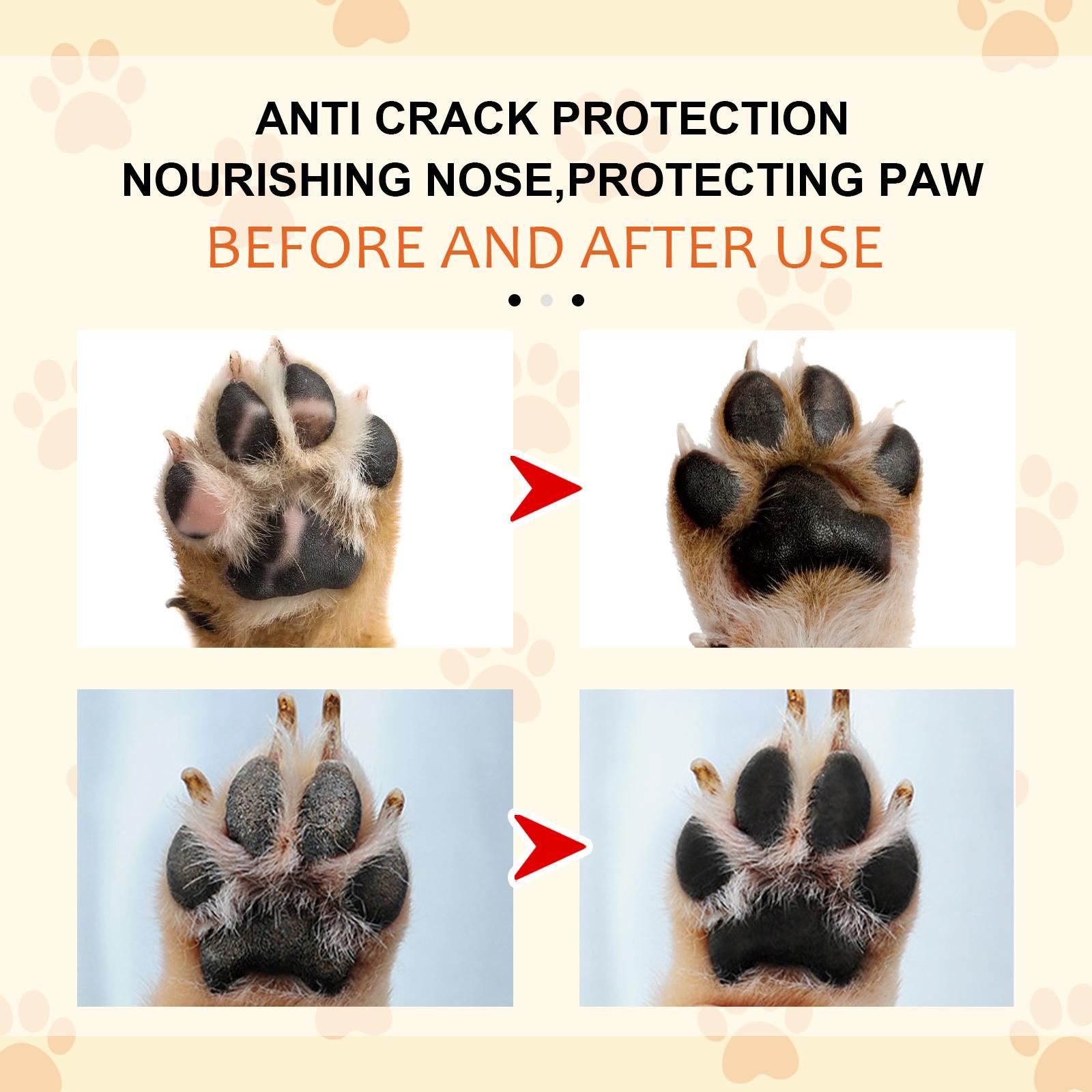 Igbang Pet Moisturizing Paw Cream – Hydrating Balm for Cats & Dogs with Grapeseed, Pine Nut & Olive Oil - Image 4