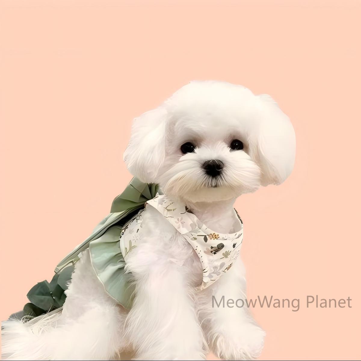 Elegant Pet Harness & Leash Set – Adjustable Escape-Proof Half Vest for Cats & Small Dogs - Image 6